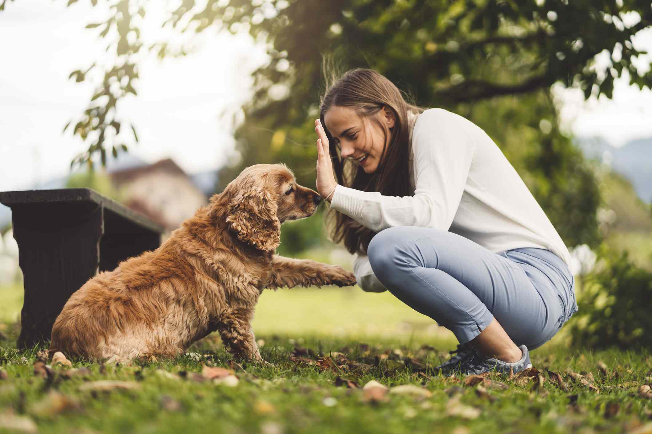 A woman plays with her dog.